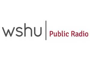 wish logo